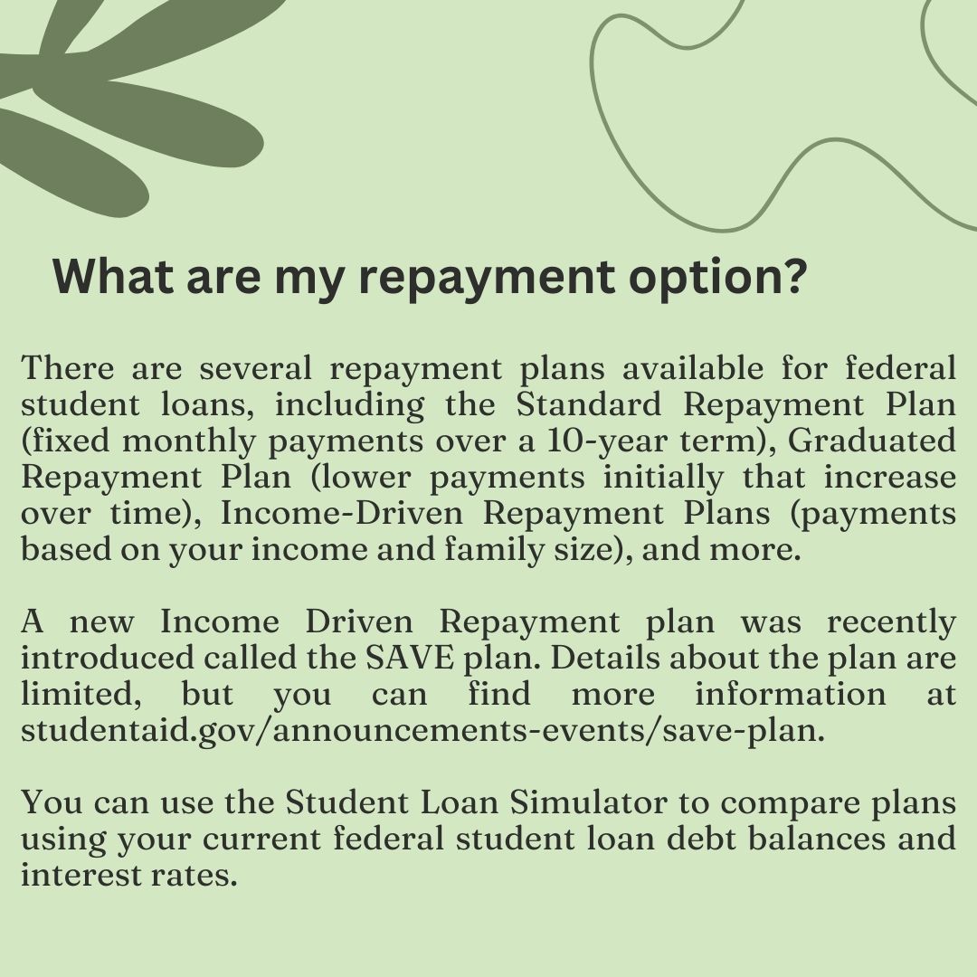 What are my repayment option? 